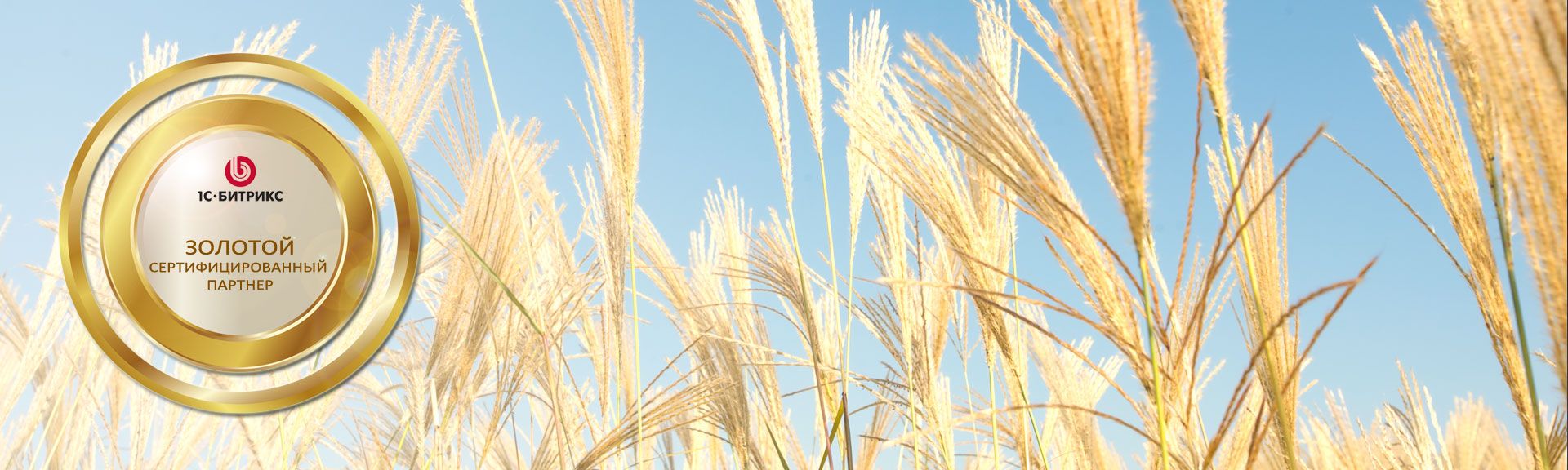 Иллюстрация Мы стали золотым сертифицированным партнером 1С-Битрикс